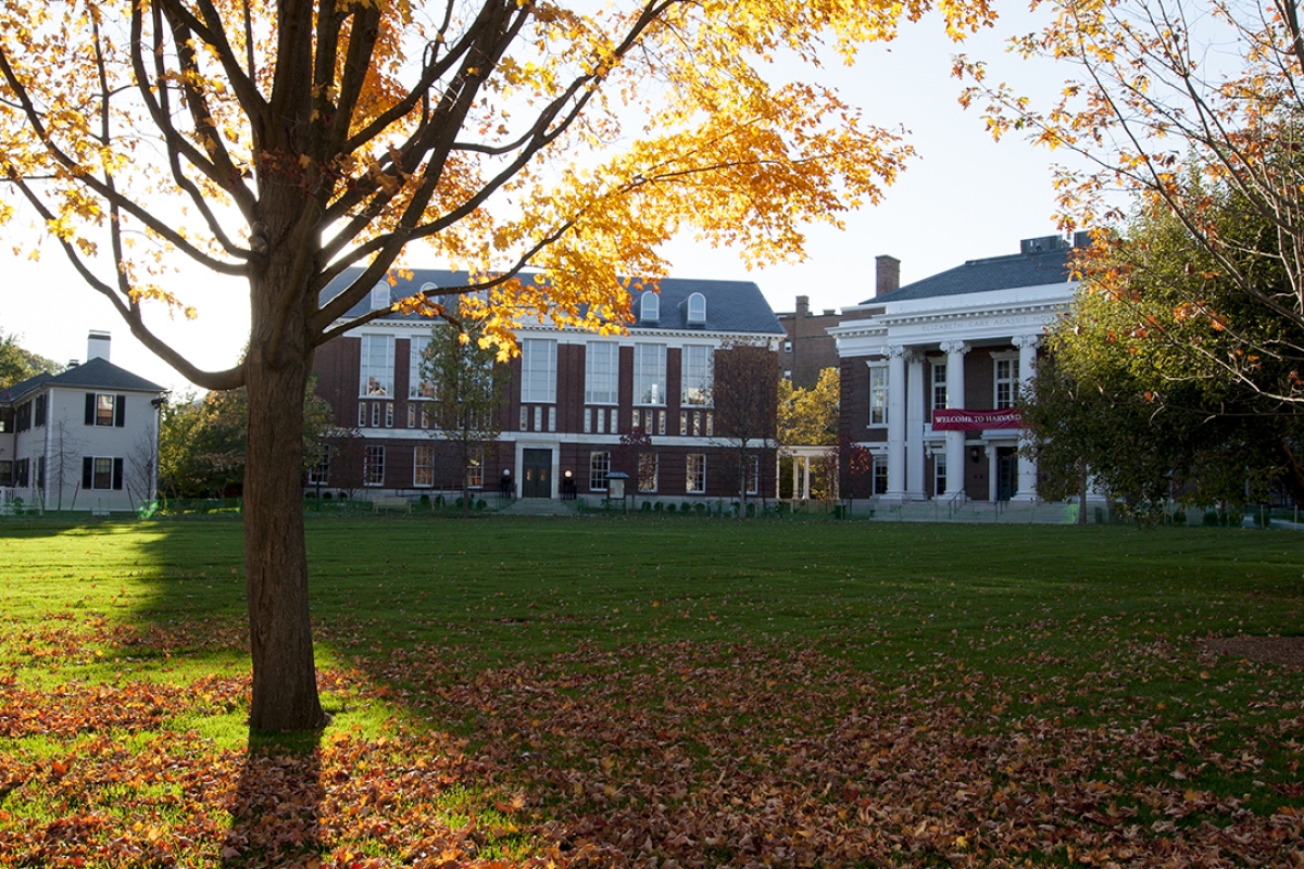 Harvard Alumni Impact Alliance - Image of quad 