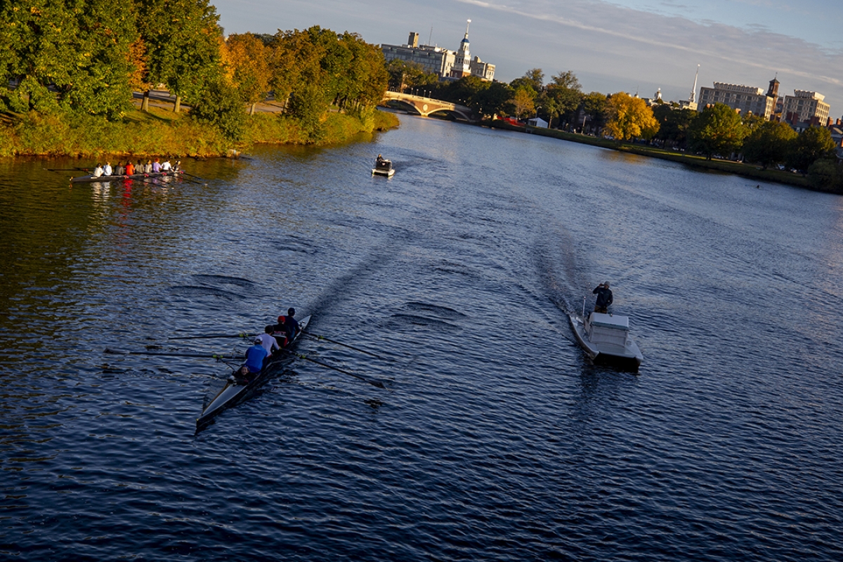 Harvard Alumni for Climate and the Environment - Image of Charles River rowers