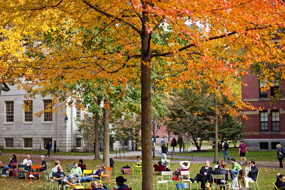 Harvard Alumni in Healthcare - Image of Harvard Yard in Fall