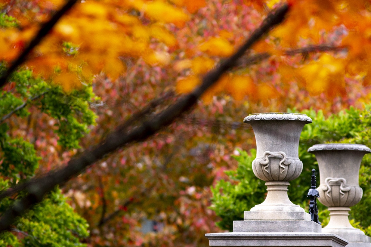 Harvard Jewish Alumni Alliance - Image of campus in autumn