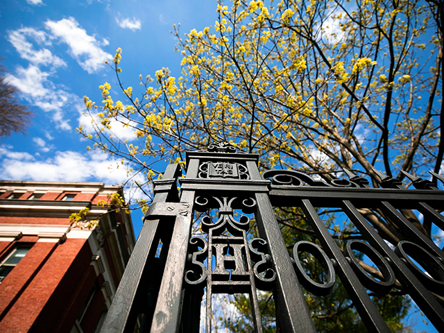 Gate in Harvard Yard in spring